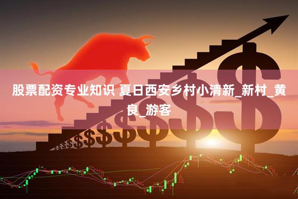 股票配资专业知识 夏日西安乡村小清新_新村_黄良_游客