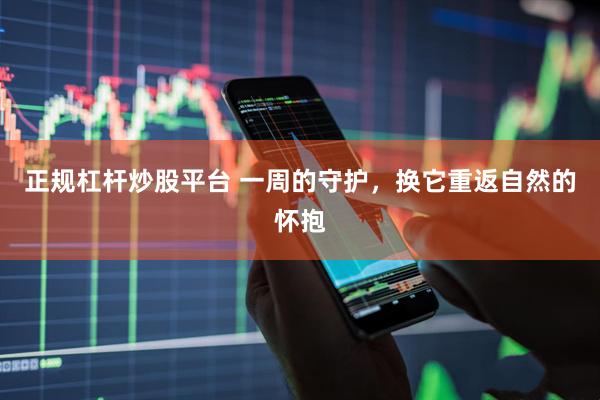 正规杠杆炒股平台 一周的守护，换它重返自然的怀抱