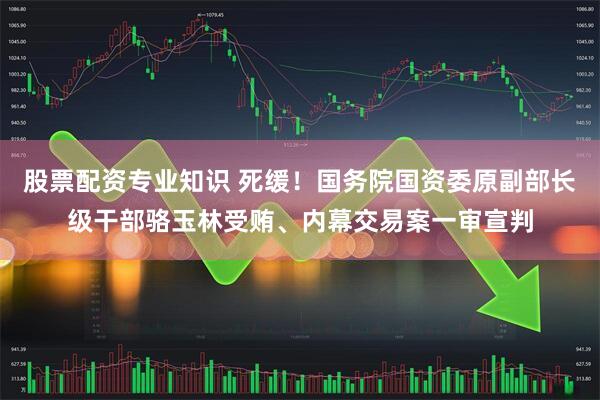 股票配资专业知识 死缓！国务院国资委原副部长级干部骆玉林受贿、内幕交易案一审宣判