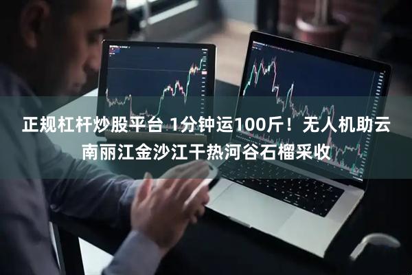 正规杠杆炒股平台 1分钟运100斤！无人机助云南丽江金沙江干热河谷石榴采收