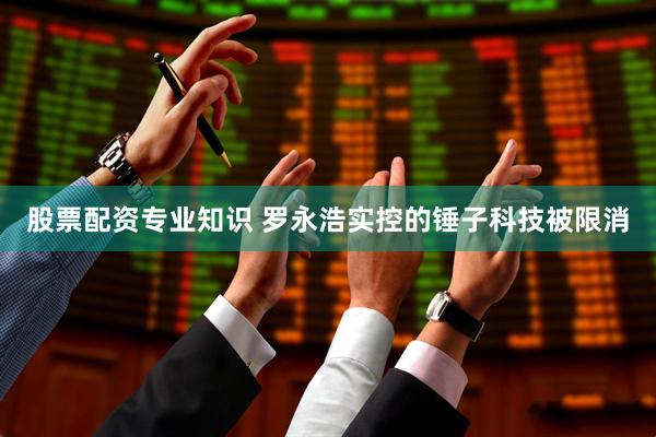 股票配资专业知识 罗永浩实控的锤子科技被限消