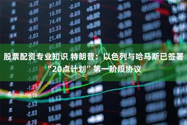 股票配资专业知识 特朗普：以色列与哈马斯已签署“20点计划”第一阶段协议